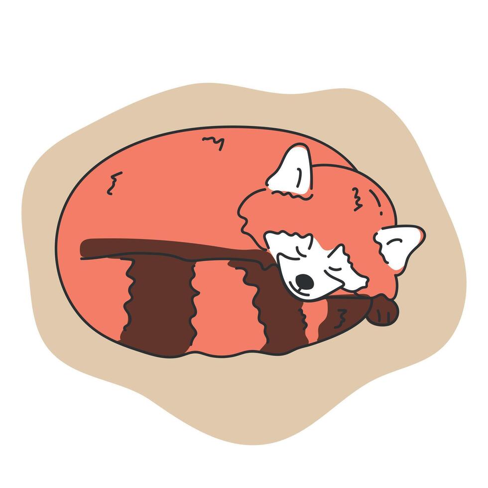 Hand drawn cute red panda is sleeping. Cartoon sleepy red panda character. illustration vector