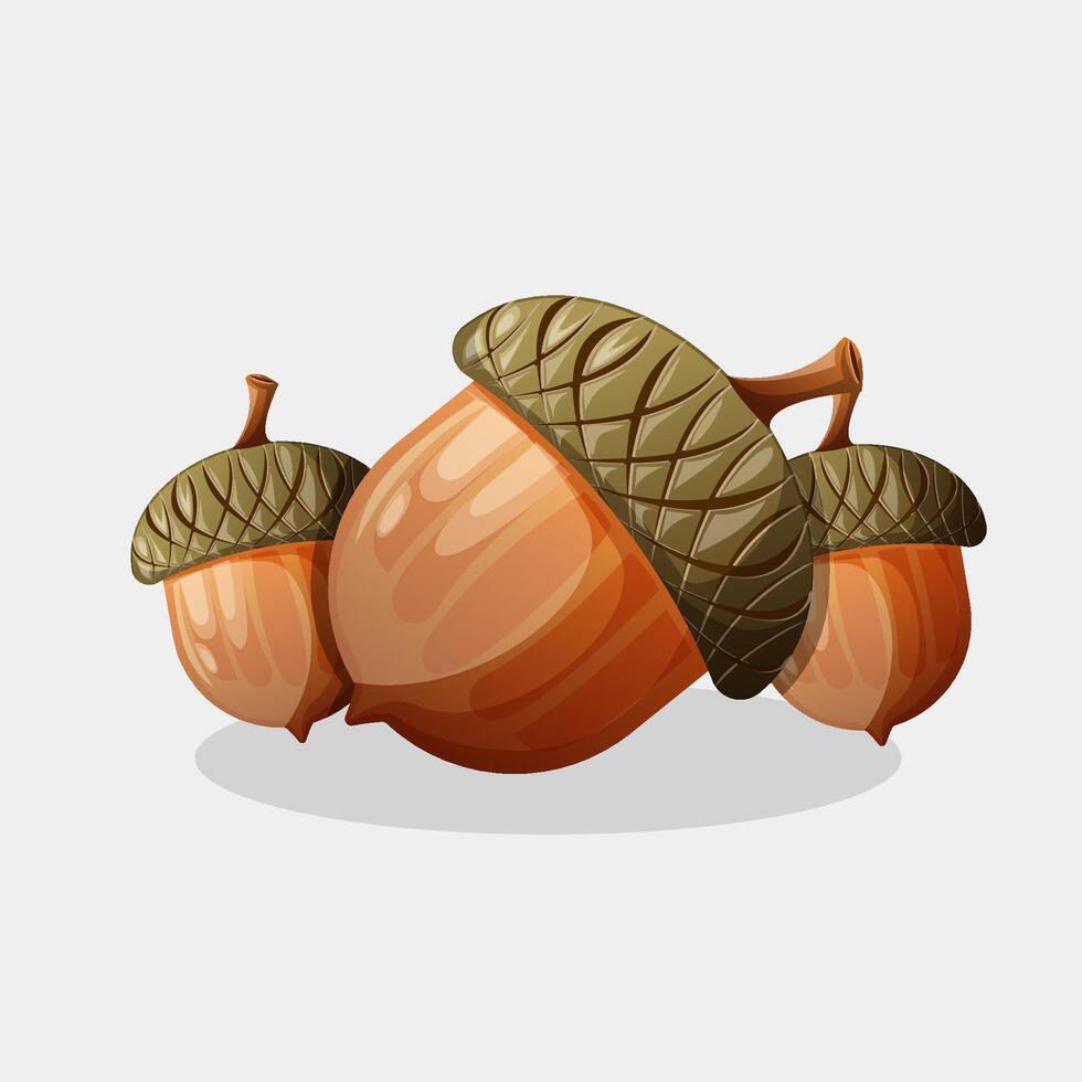 Acorn nuts illustration, acorn oak nut seeds vector