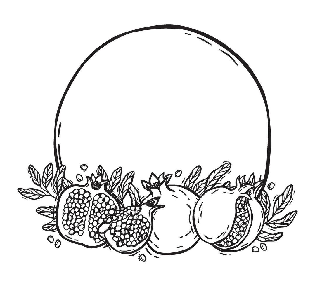 Round frame with fruits and pomegranate leaves, round outline with a pattern. botanical black and white frame, hand drawn in graphic style. Drawing for food and cosmetics packaging design, menu vector