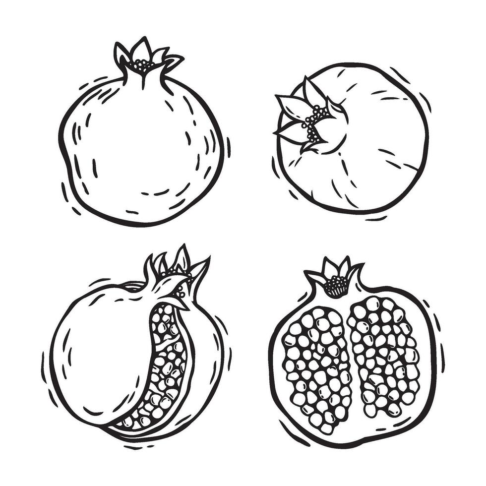 Whole pomegranates and pomegranate halves with pulp. botanical black and white set of illustrations in linocut style on an isolated background. Drawing for food and cosmetics packaging design vector