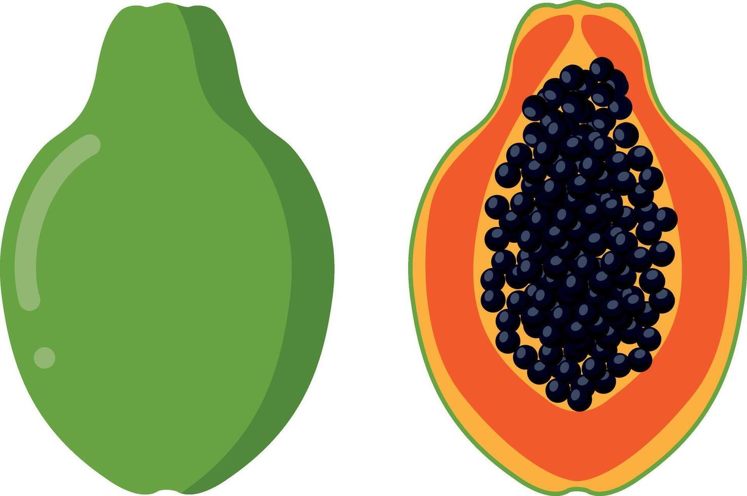 Set papaya fruit whole and sliced. Illustration in cartoon flat style, Carica papaya healthy food for diet vegan isolated vector