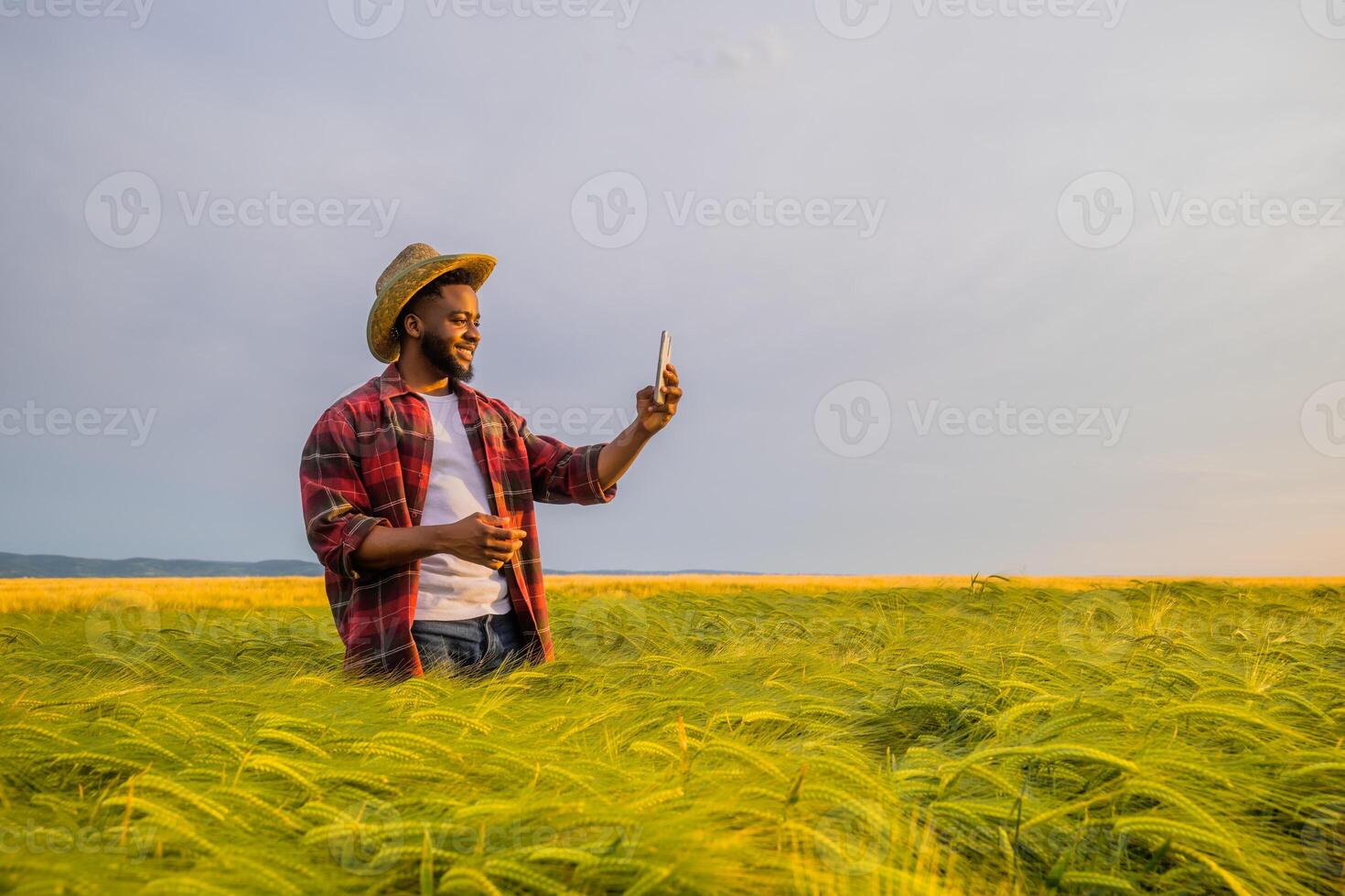 Young farmer using mobile phone while standing in his growing wheat field. photo