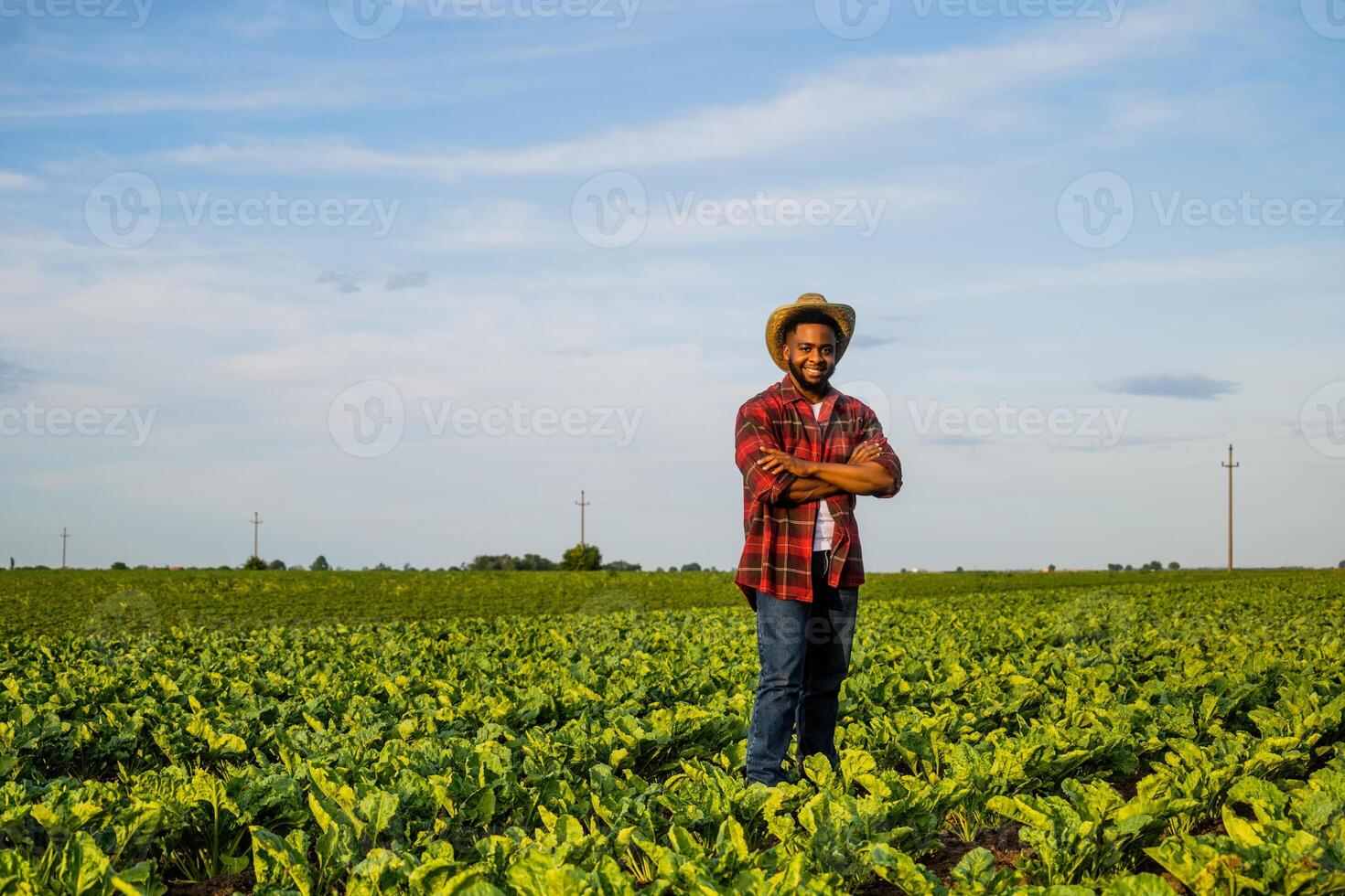 Young happy farmer is standing in his growing spinach field. photo
