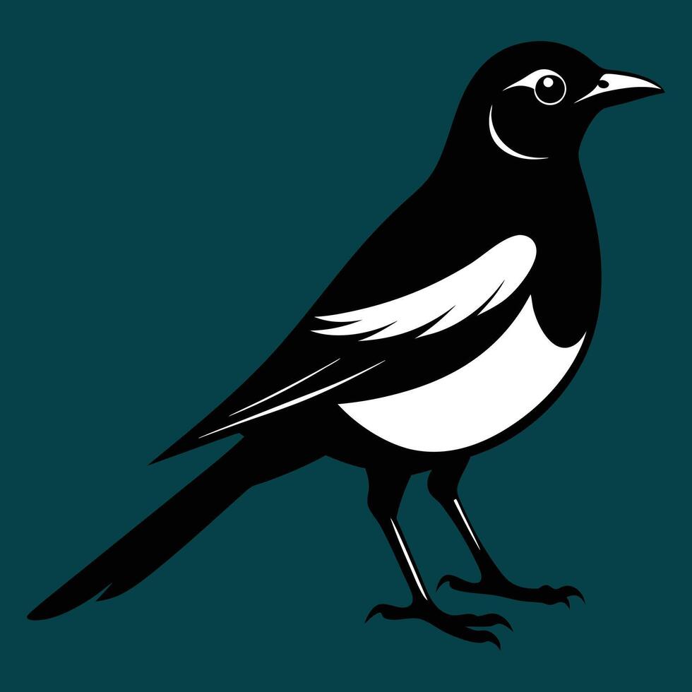 Magpie bird black and white Silhouette Art. Oriental magpie robin bird design on white background. Easy editable layered illustration. Wild Animals. vector