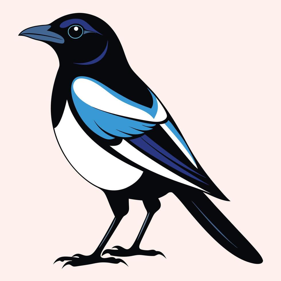 Magpie bird black and white Silhouette Art. Oriental magpie robin bird design on white background. Easy editable layered illustration. Wild Animals. vector