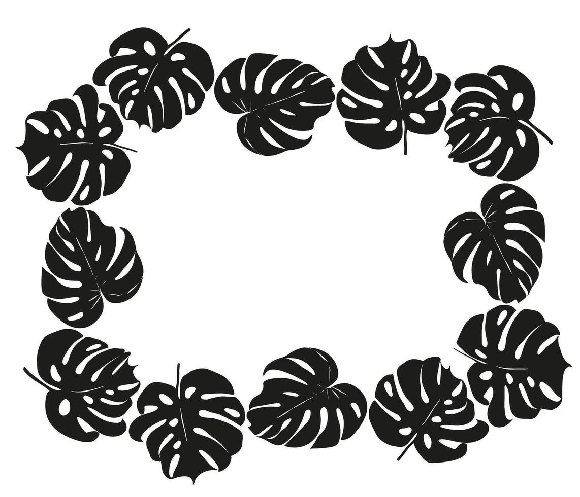 Monstera silhouette leaves vector