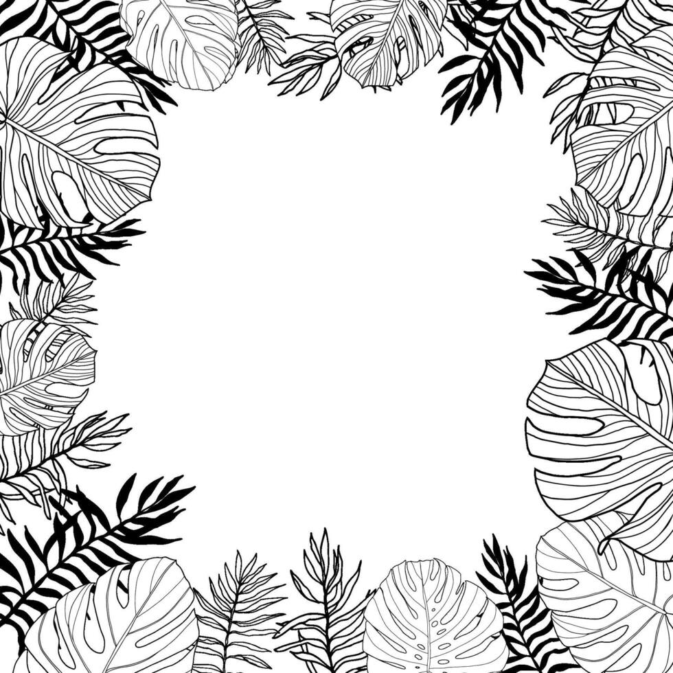 Tropical leaves palm and montera vector