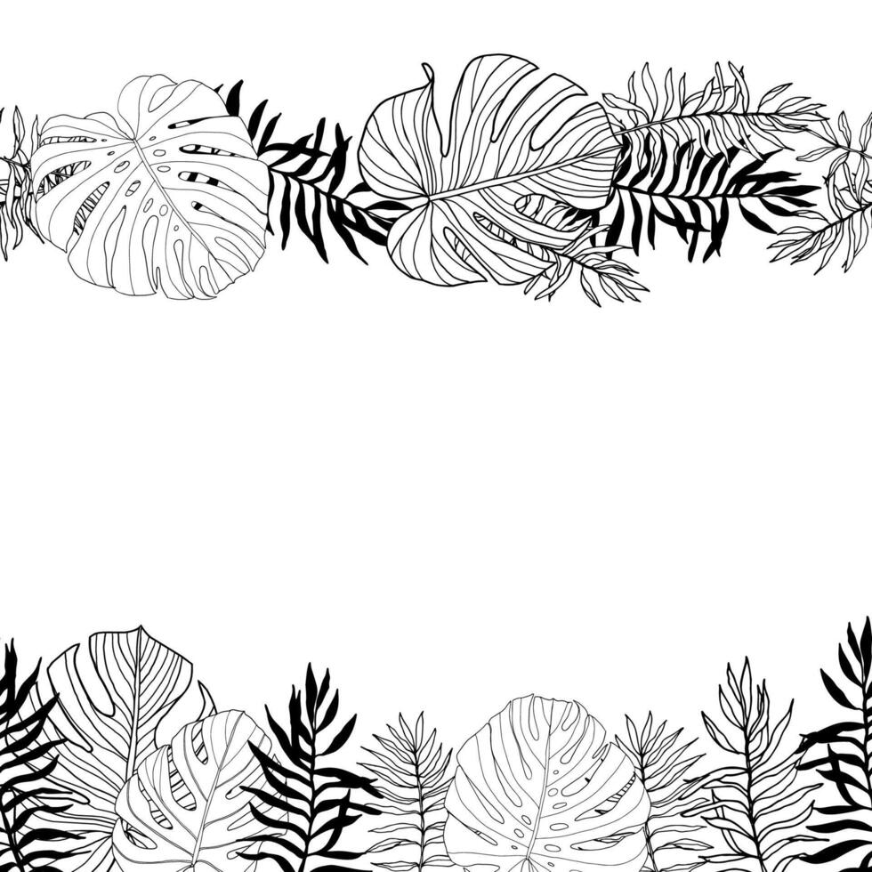 Tropical leaves palm and montera vector