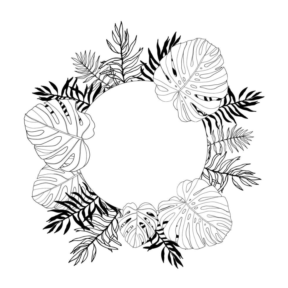 Tropical leaves palm and montera vector