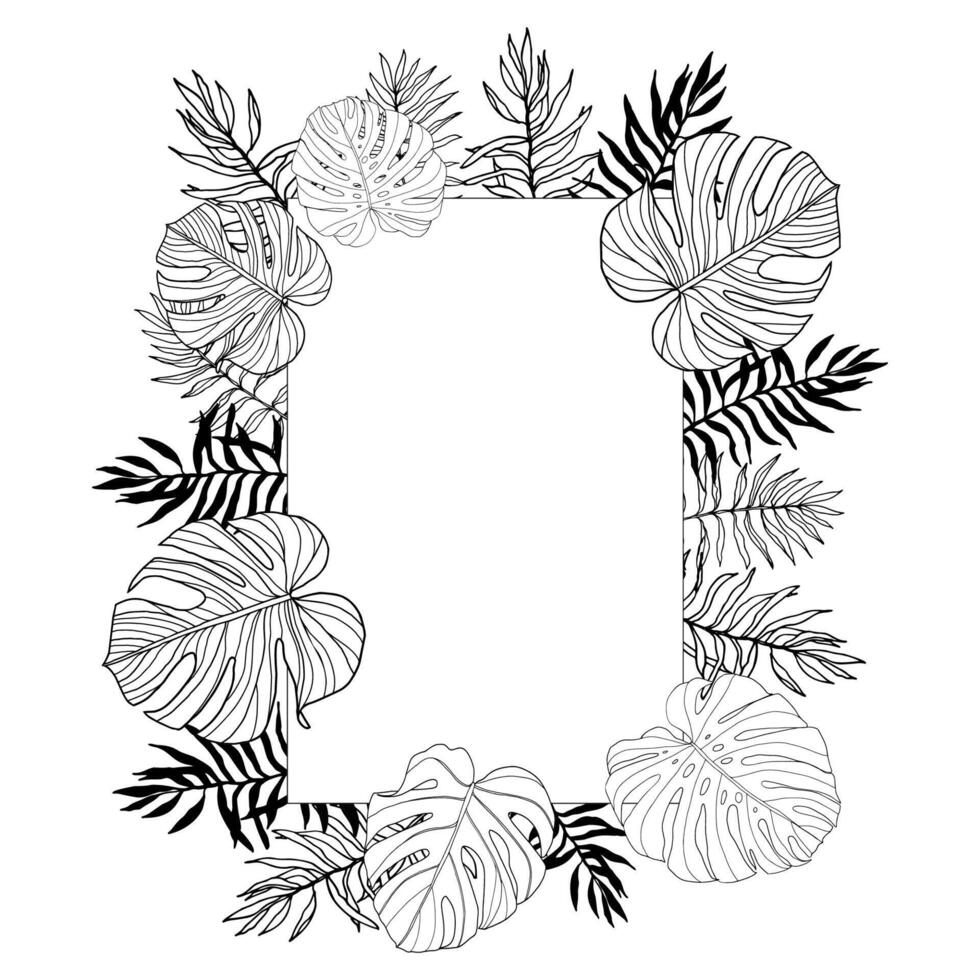Tropical leaves palm and montera vector