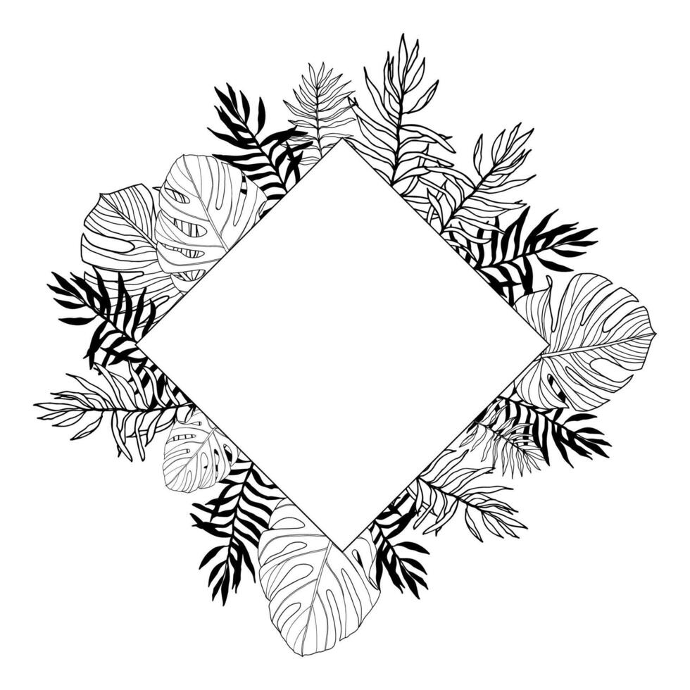 Tropical leaves palm and montera vector