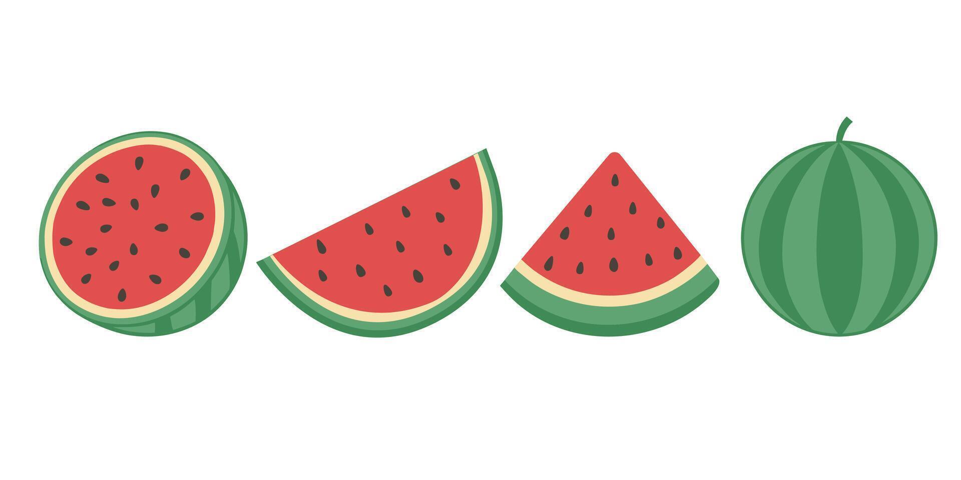 Watermelon icon set isolated on white background. Watermelon illustration. vector