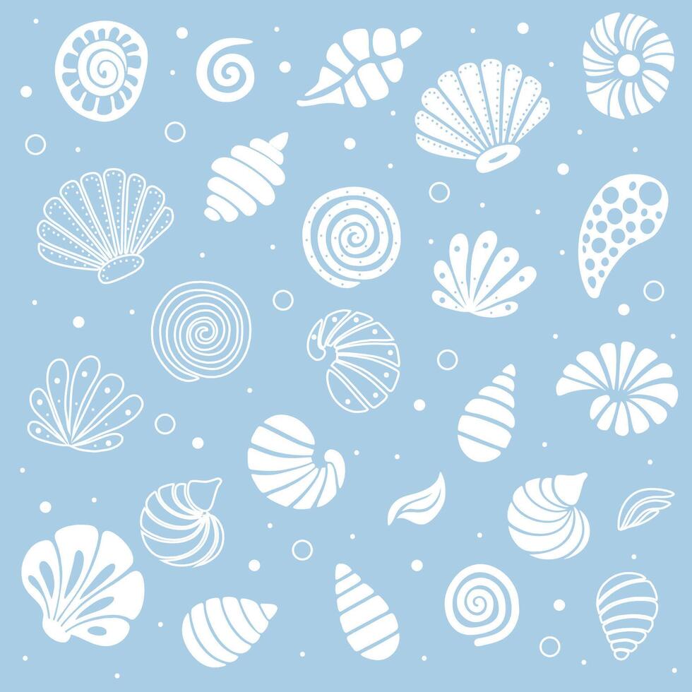Set of colorful seashells isolated on white background. illustration. vector