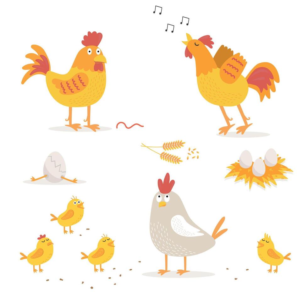 Farm animals. Chicken, chickens, rooster. Chicken eggs. vector