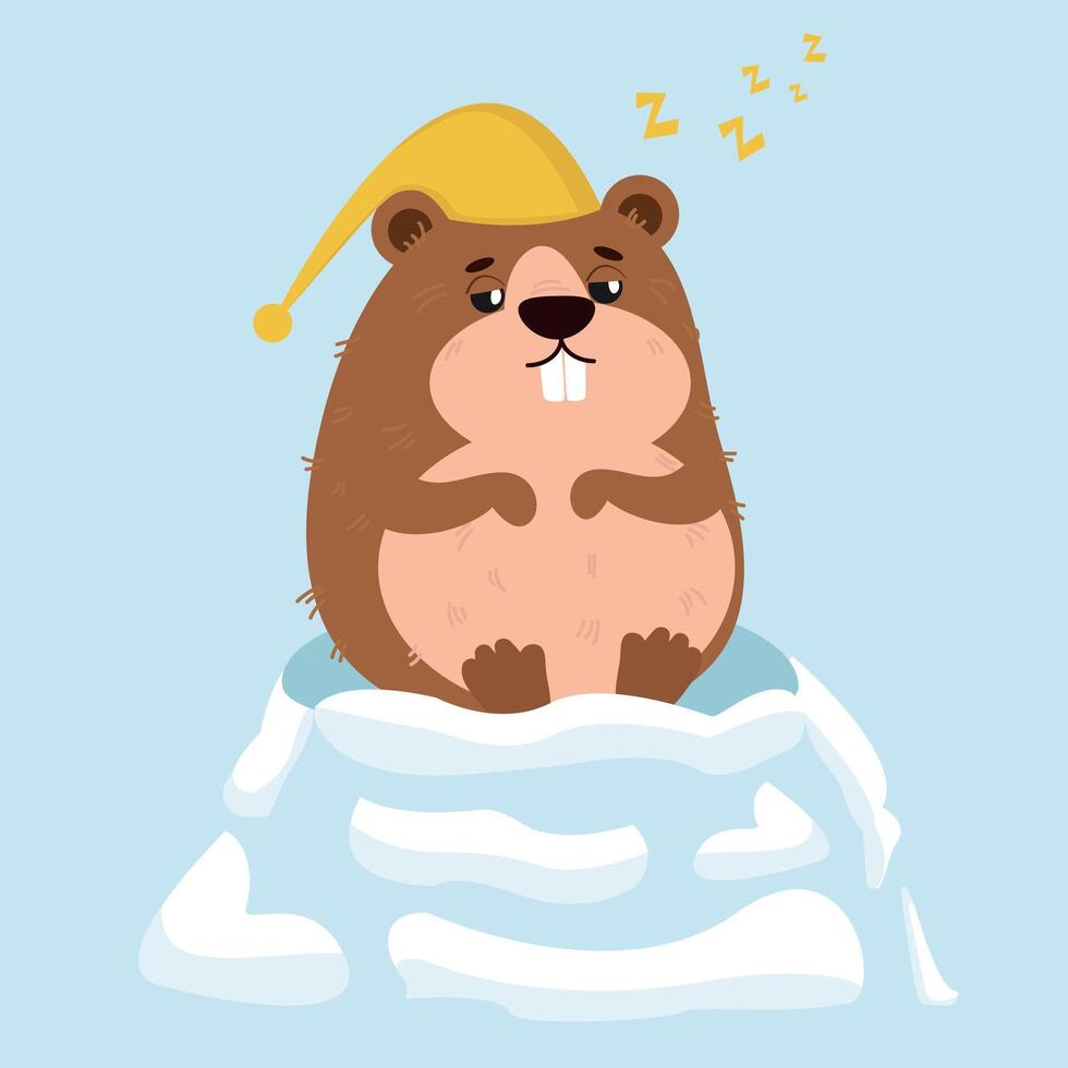 Groundhog Day. A groundhog in a hole. The groundhog wakes up. vector