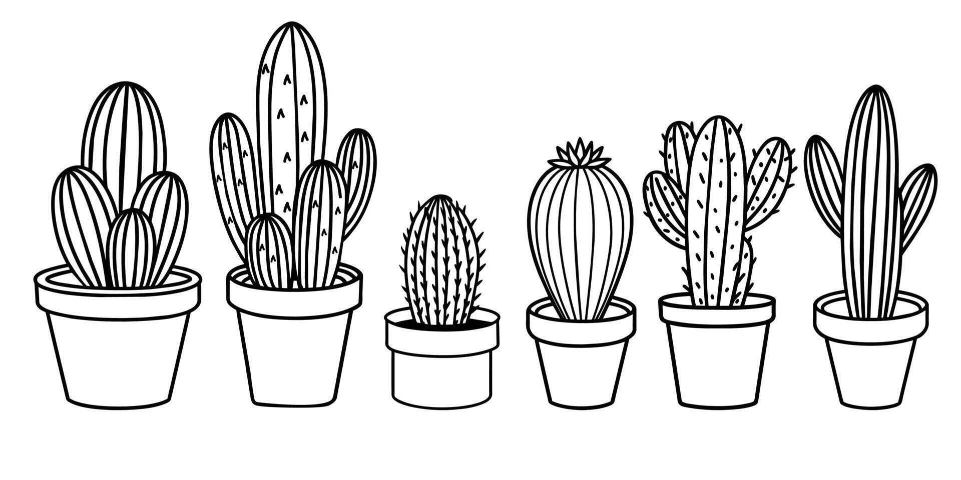 hand drawn cactus illustration. Illustration. cacti with flowers. Set of cactuses. isolated on white background. cactus outline sketch. cactus drawing. vector
