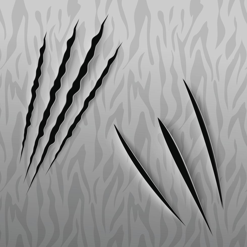 Tiger Claw Scratch with Texture Background vector