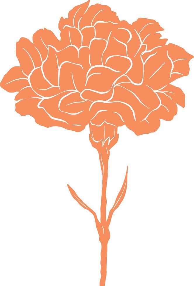 an orange flower is shown on a white background vector