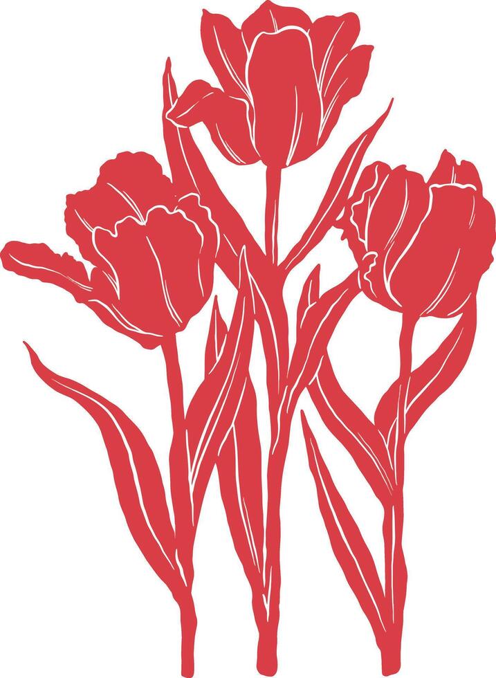 three red parrot tulips on a white background botanical icon vector