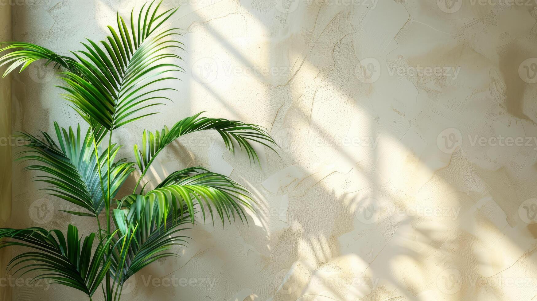Beautiful palm leaves create elegant shadows on a beige wall, casting a serene ambiance with a touch of natures beauty photo