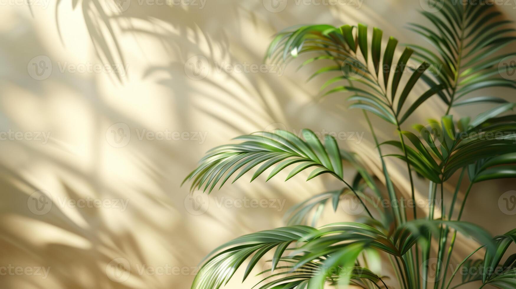 Beautiful palm leaves create elegant shadows on a beige wall, casting a serene ambiance with a touch of natures beauty photo