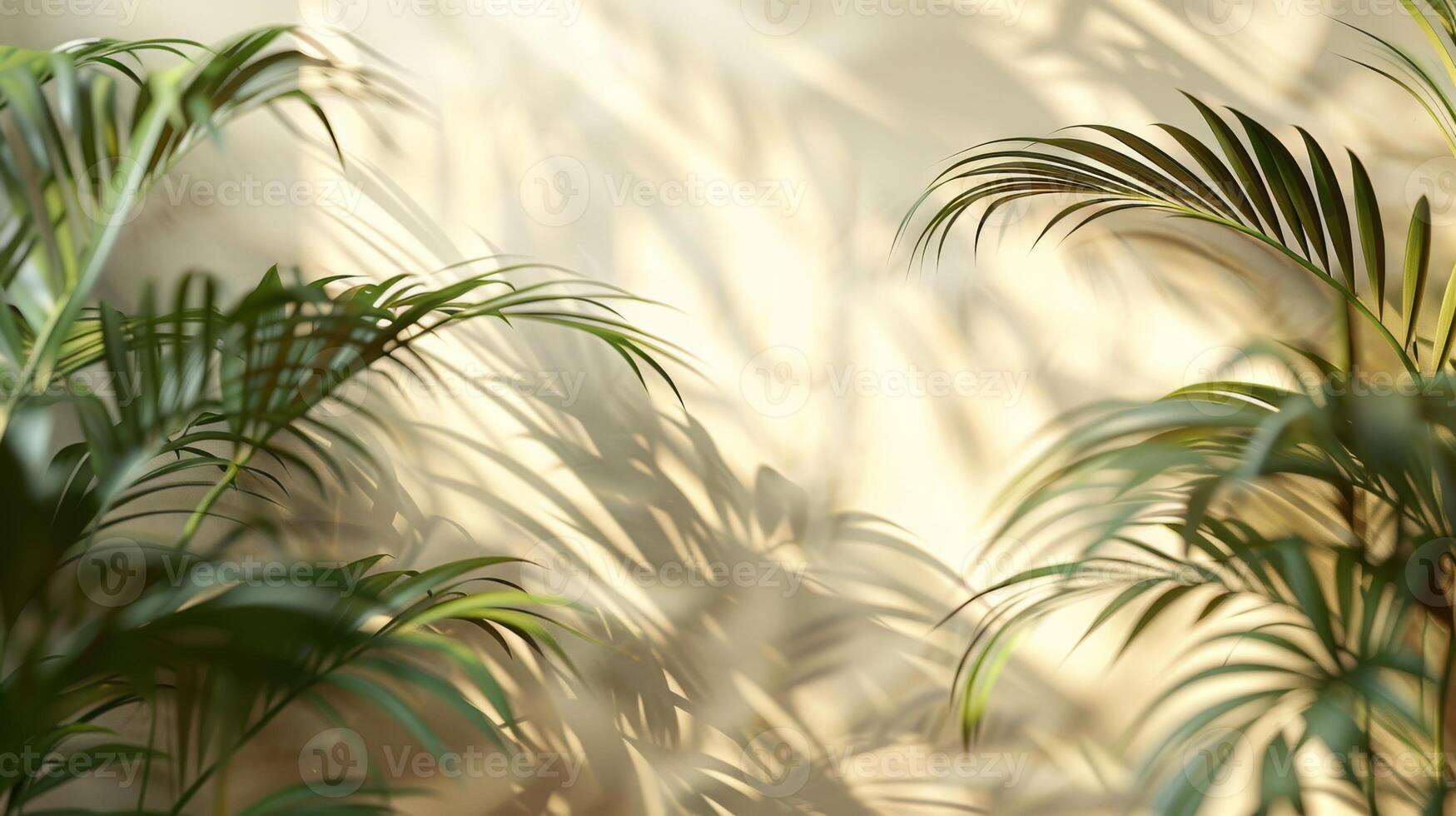 Beautiful palm leaves create elegant shadows on a beige wall, casting a serene ambiance with a touch of natures beauty photo