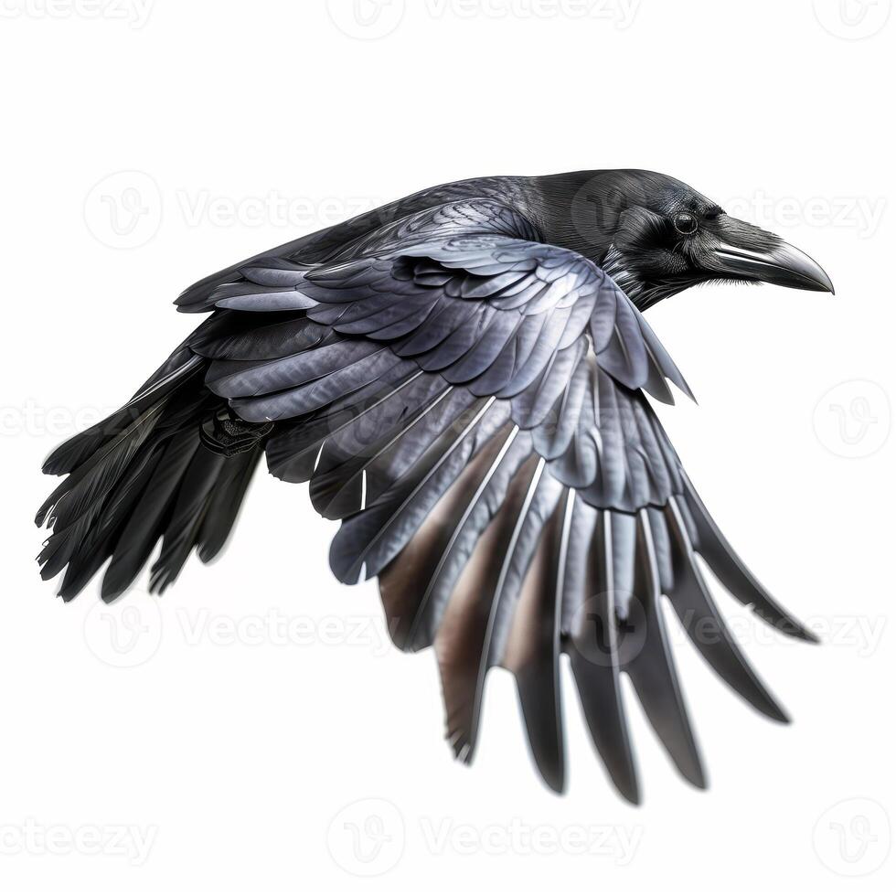 Detailed Illustration of a Majestic Black Raven in Flight photo