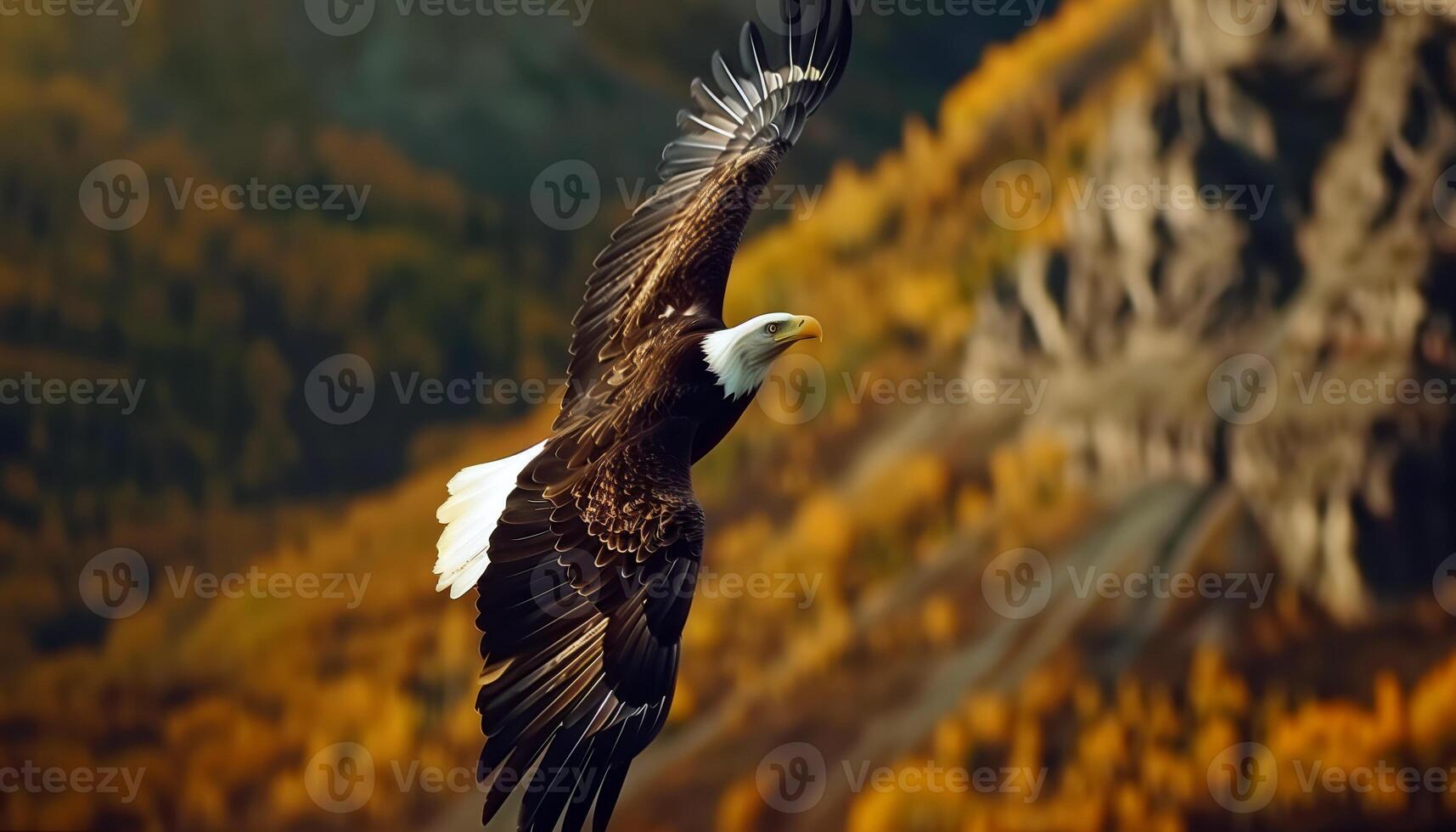 Majestic Bald Eagle Soaring Over Autumn Mountain Landscape photo