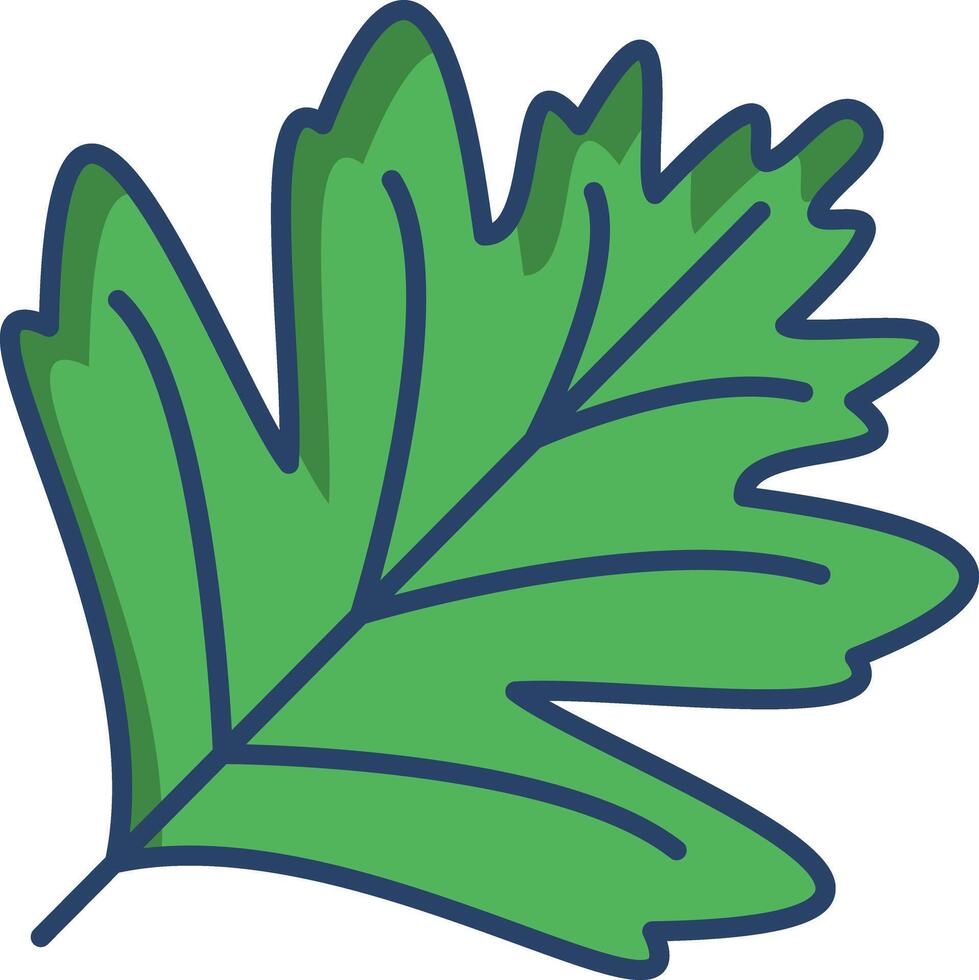 Hawthorn Leaf linear color illustration vector