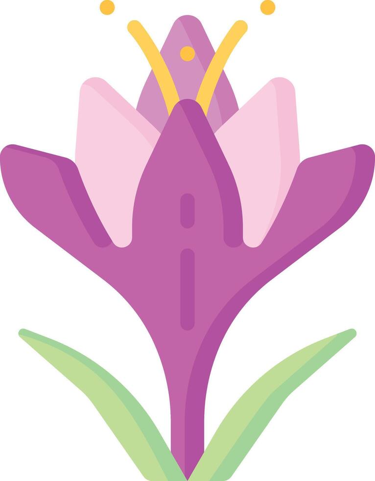 crocus illustration design vector