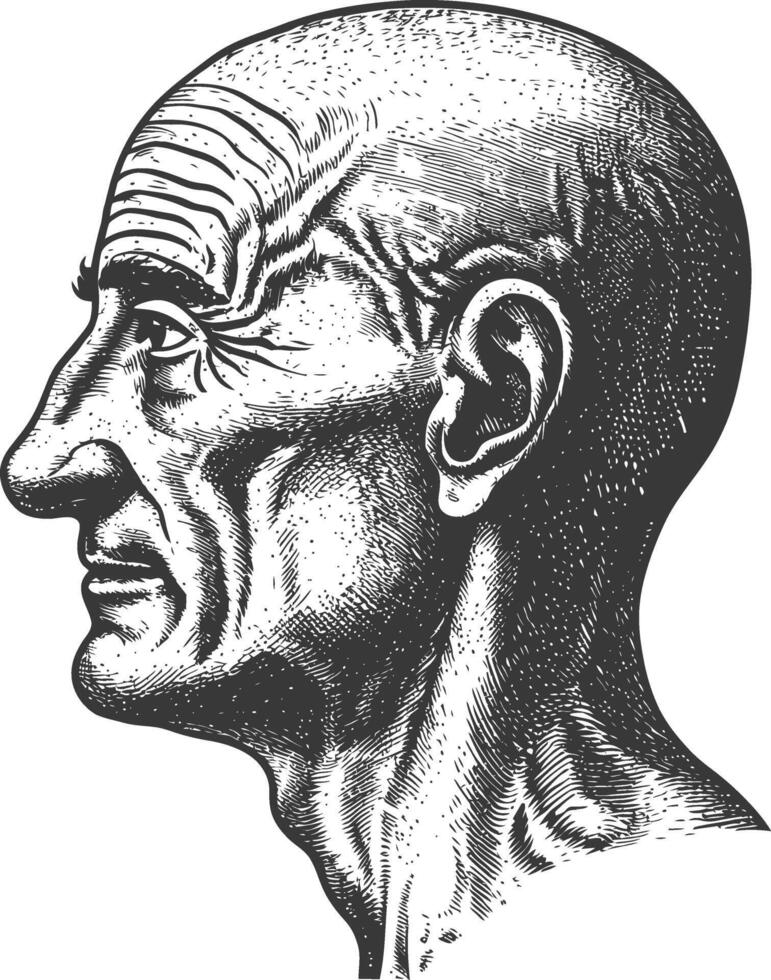 elderly man head single head with engraving style vector