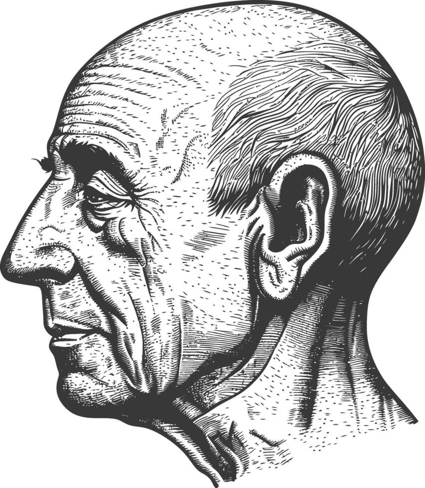 elderly man head single head with engraving style vector
