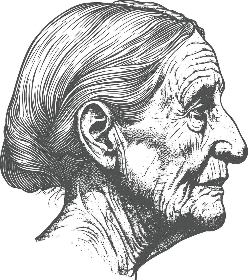 elderly woman head single head with engraving style vector