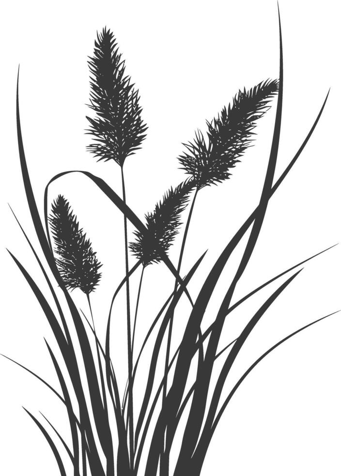 black water reed plant cattails leaf black color only vector