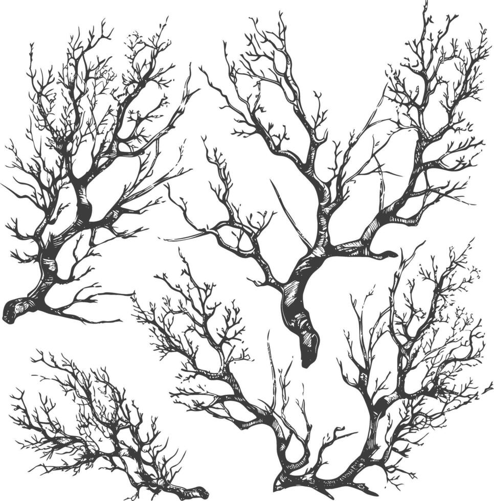 branches with engraving style black color only vector