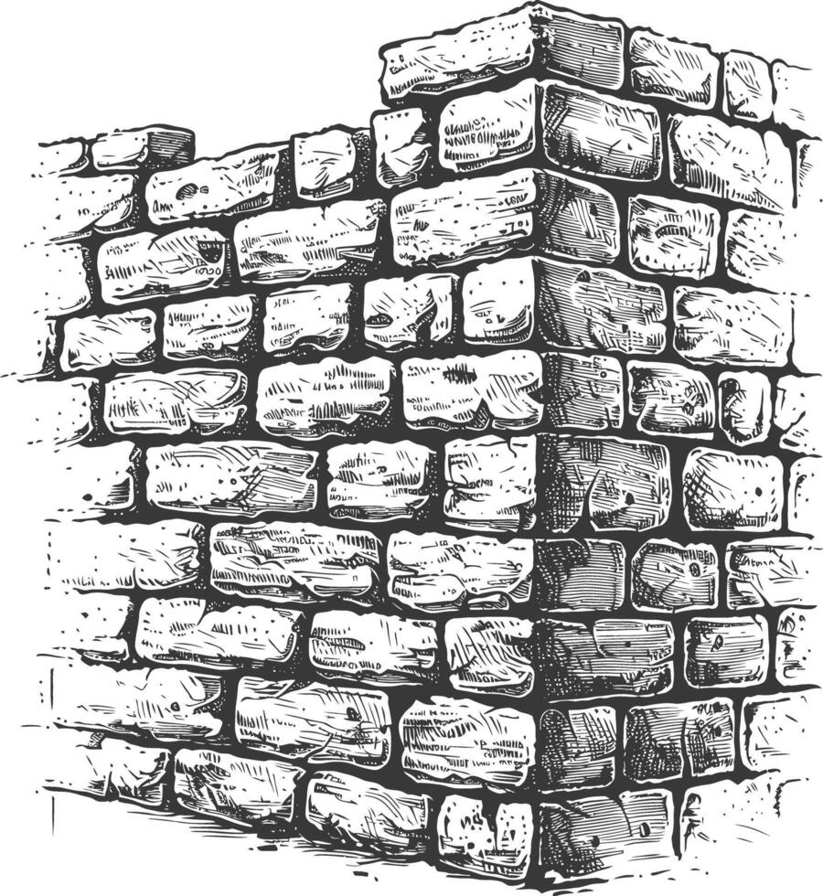 brick wall with engraving style black color only vector