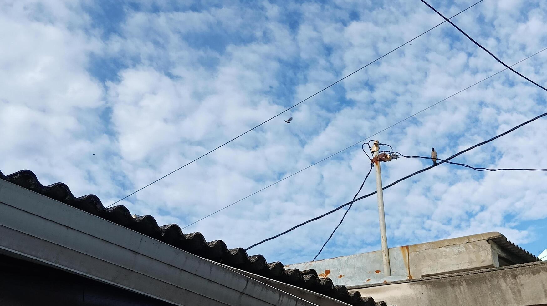 Electric cables running across the roof of a house with a blue sky photo