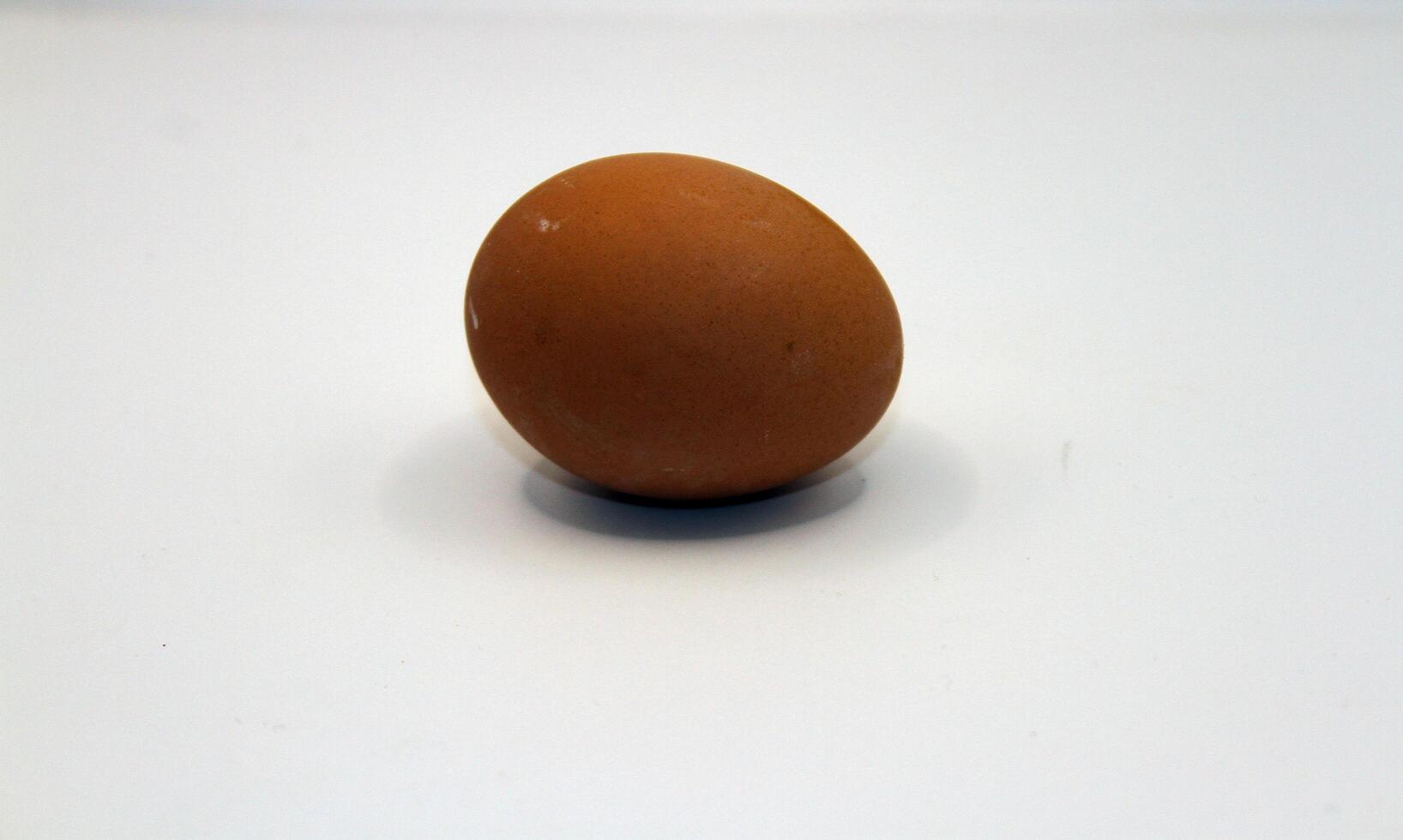 eggs on a white background photo