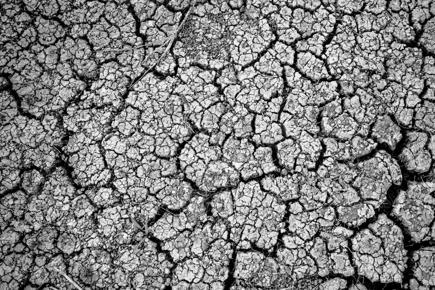 Cracked Dry Earth Texture in Black and White Highlighting Drought and Environmental Issues photo