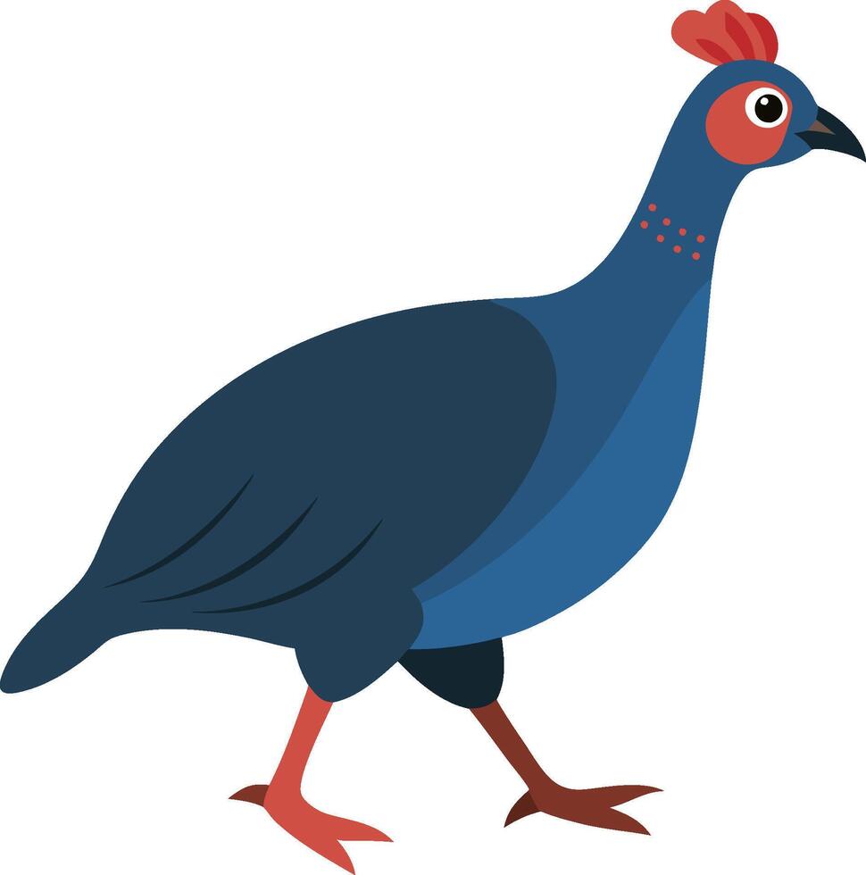A Guineas is walking, white background vector