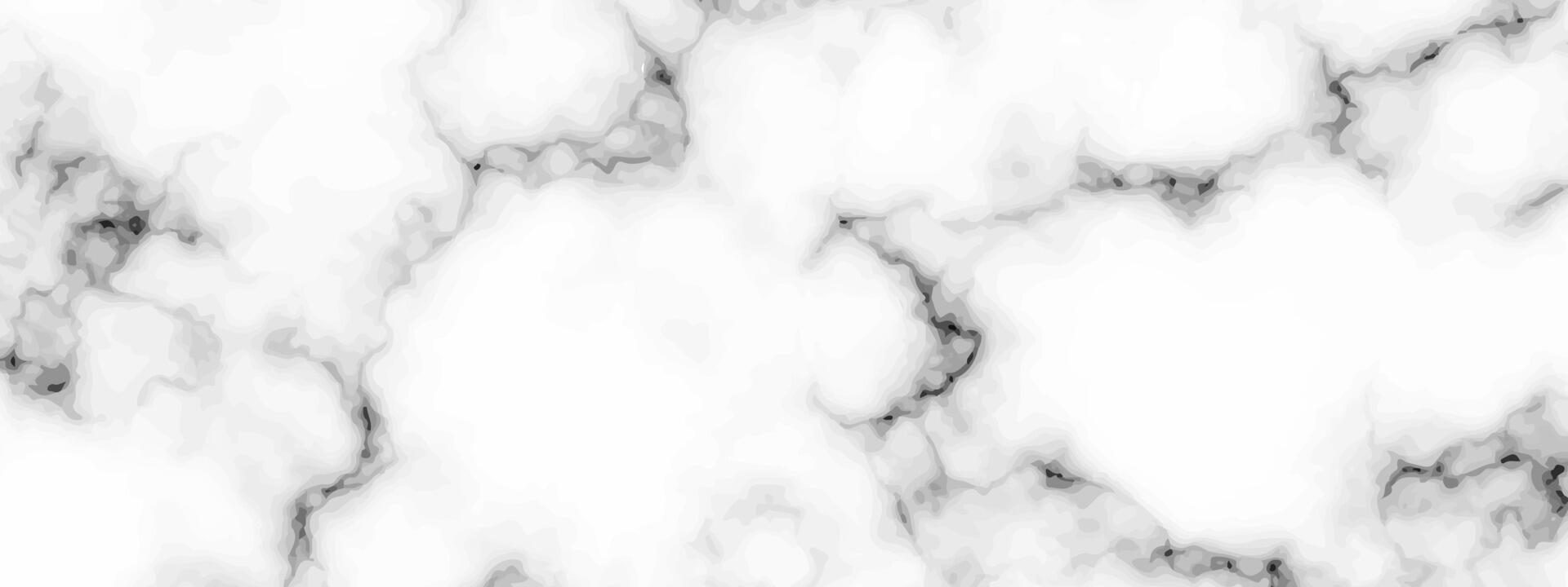 White marble texture background vector