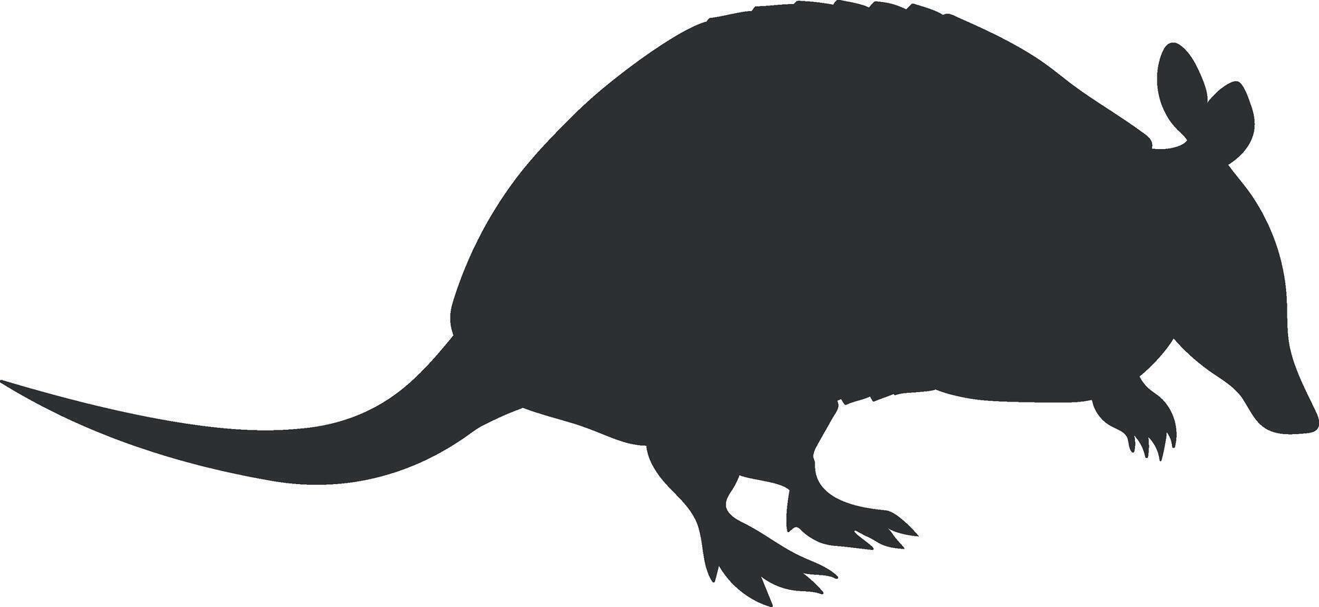 Armadillo animal silhouette isolated on white background. illustration vector