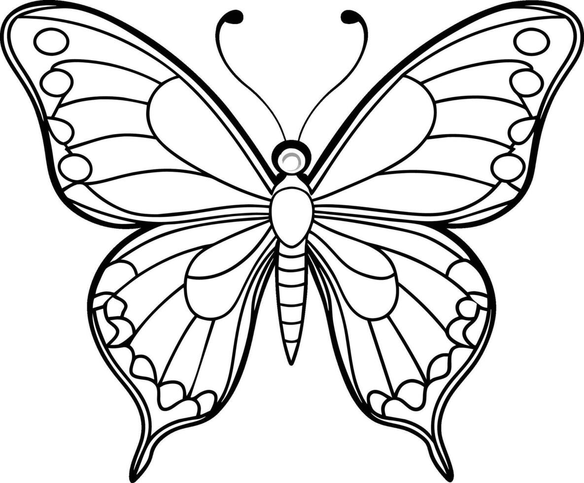 black and white butterfly illustration vector
