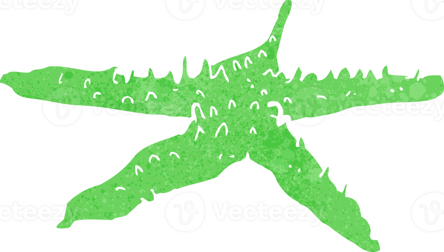cartoon starfish drawing png