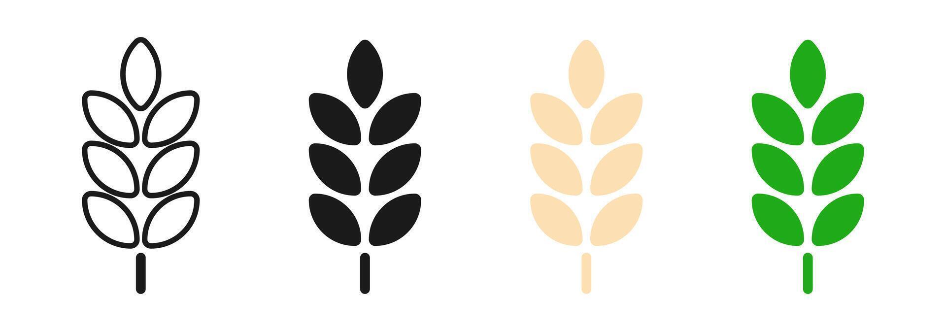 Wheat icon. Simple grain or cereal symbol. Rye, harvest or gluten illustration. Agriculture plant icon set. vector