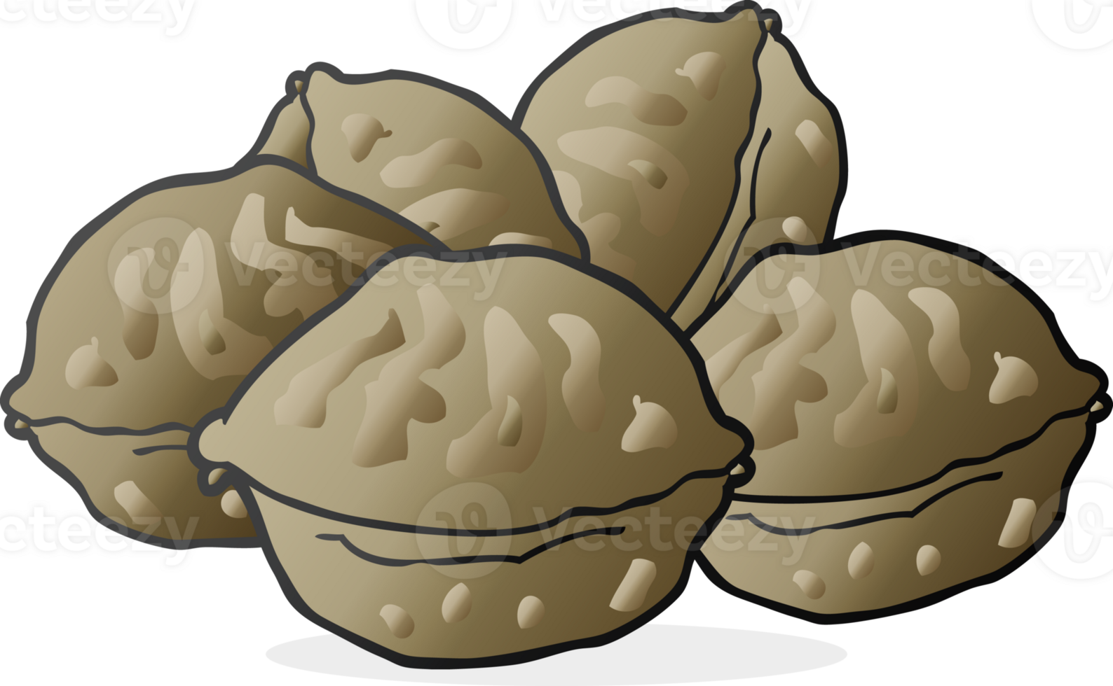 freehand drawn cartoon walnuts in shell drawing png