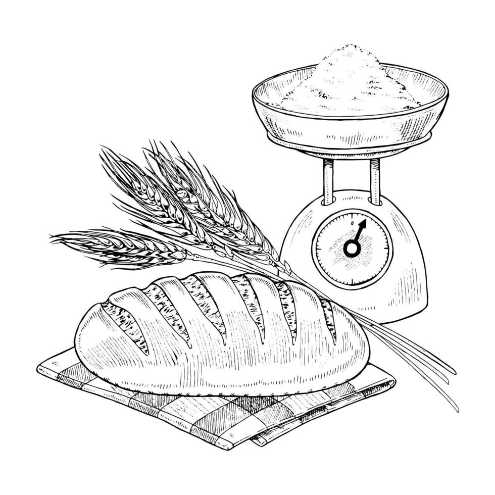 Bread with Wheat hand drawn illustration. Freshly baked loaf sketch drawing. Vintage white and black line art on background. Food and flour for design. Preparation of pastry in the bakery vector