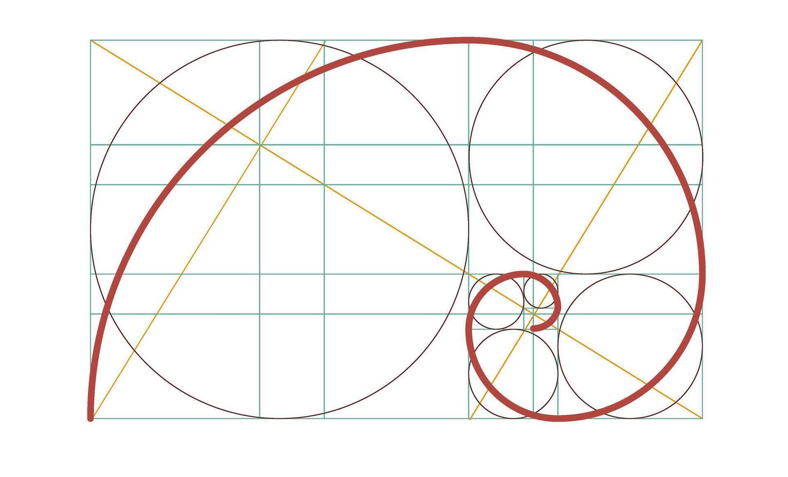 Golden spiral isolated template. Circles in golden proportion. Geometry harmony and balance. vector