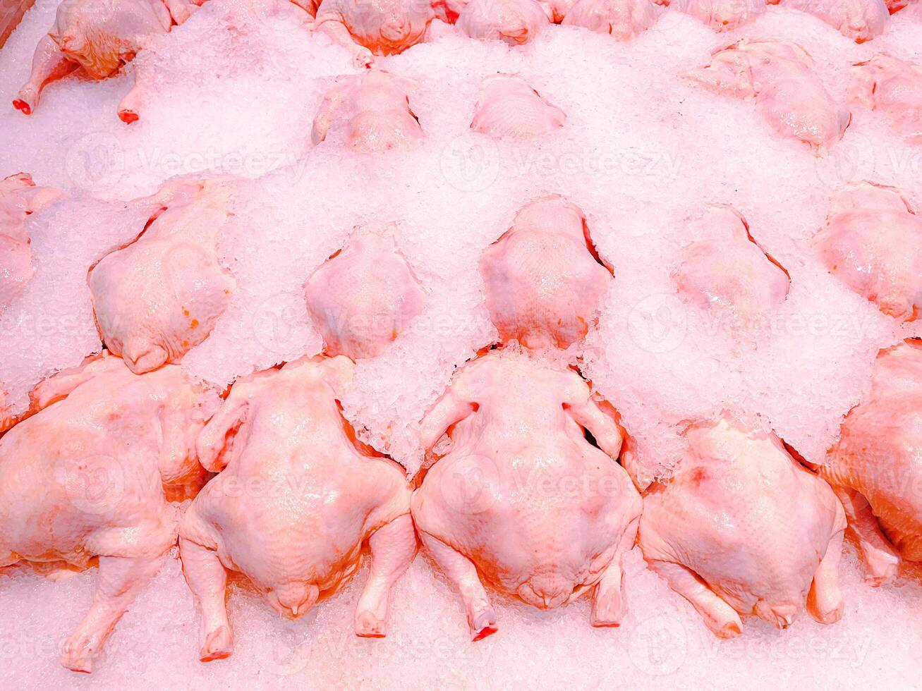 Fresh frozen whole chickens covered in ice in the market meat section photo