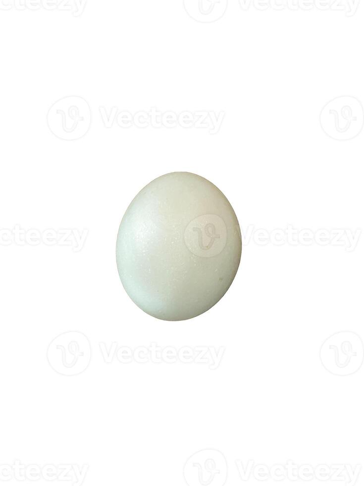 raw salted egg or telur asin, made from duck eggs with salt isolated on white background photo